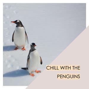 North Pole Penguins: A Fascinating Arctic Adventure