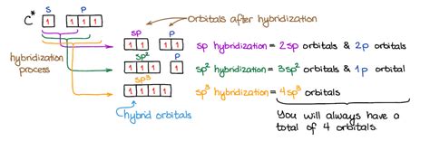 Hybridization — Organic Chemistry Tutor