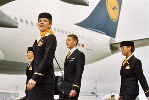 Lufthansa Flugbegleiter Werden Fachberater F R Servicemanagement