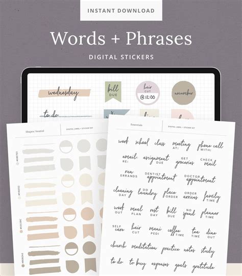 Essential Words Phrases Digital Stickers Sticker Book For Goodnotes