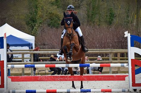 Bise Ecole d Equitation de la Forêt d Andilly