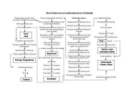 Doc Penyimpangan Kdm Demam Typhoid Wiwi Rezky
