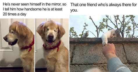 40 Funny And Wholesome Animal Memes To Get You Over The Midweek Hump (November 8, 2023)