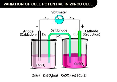 Understanding Daniell Cell Its Function Process And Relevance