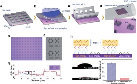 Figure From Grains In Selectively Grown Mos Thin Films Semantic