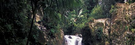 El Yunque Travel Lonely Planet Puerto Rico Caribbean