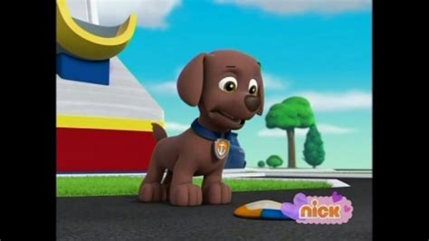 Zuma in Season 2 - PAW Patrol Photo (40150893) - Fanpop - Page 25