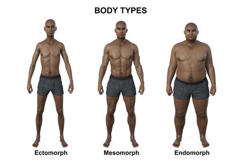 Biotipo Corporal Saiba O Seu E Como Adaptar Dieta E Treino Minhasaúde