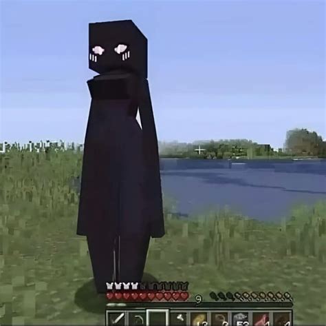 Enderman on Twitter: "ENDERWOMEN EXIST???"