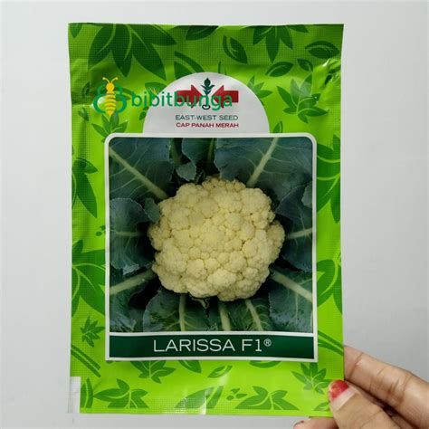 Jual Benih Bibit Bunga Kembang Kol Larissa 10 Gr Gram Biji Cap Panah