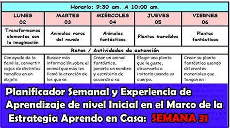 Excelente Planificador Semanal Y Experiencia De Aprendizaje De Nivel