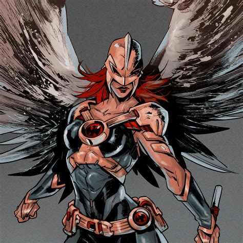 Batfamilies On Tumblr Hawkman And Hawkwoman Icons From DC Grifter