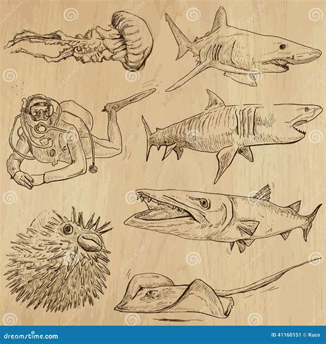 Underwater Sea Life Vector Set No2 Hand Drawn Stock Vector