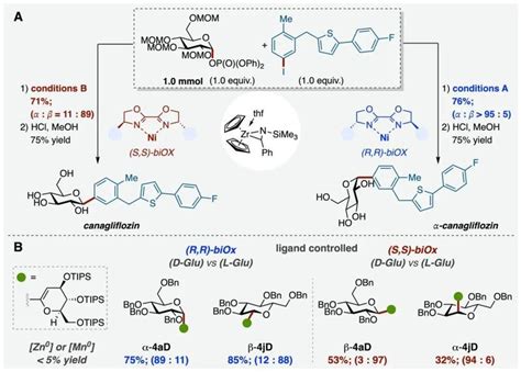 科研进展上科大物质学院叶柏华课题组在锆氮杂环丙烷介导不对称镍催化构建c 糖苷键研究中取得新突破