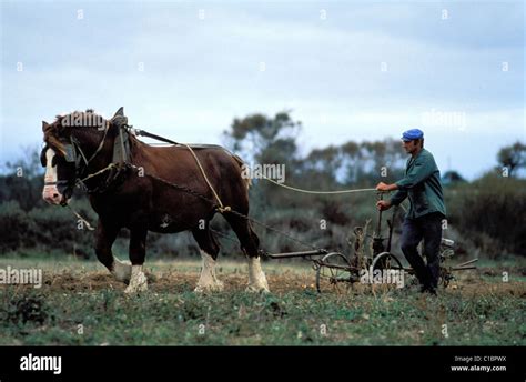 Rene And Thomas Hi Res Stock Photography And Images Alamy