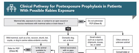 Rabies Exposure Urgent Care Management