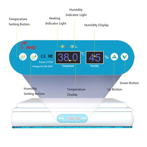 China Full Automatic Eggs Incubator HHD Blue Star H120 H1080 Eggs For