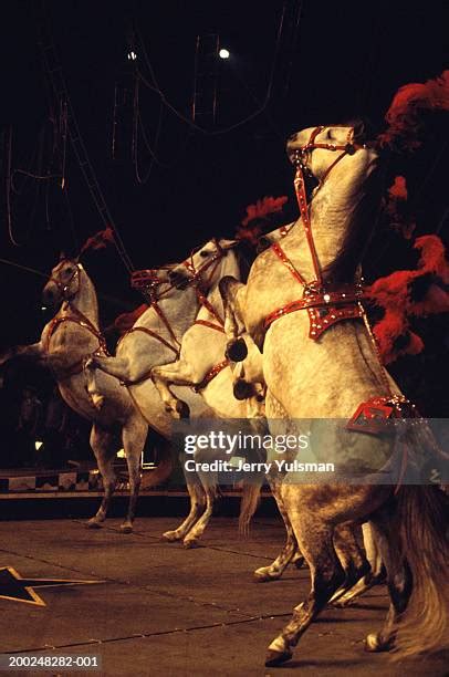 Stunts Circus Photos and Premium High Res Pictures - Getty Images