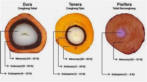 Kembara Insan Engineers Blog 2023