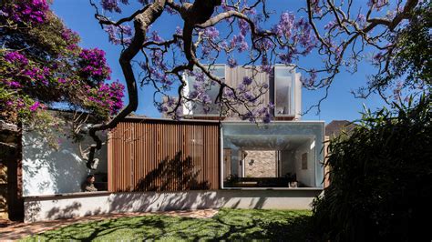 Stacked Windows Face A 116 Year Old Tree In Panovscott S Sydney Cottage Extension