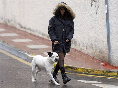 Paola Olmedo Triste Y Cabizbaja Pasea Bajo La Lluvia Tras Su