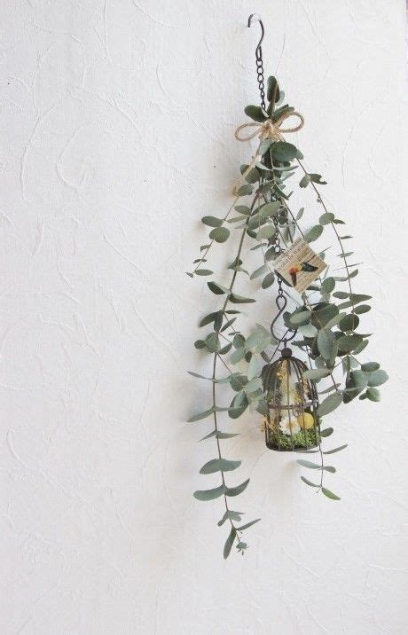 Eucalyptus Pinterestmarloes