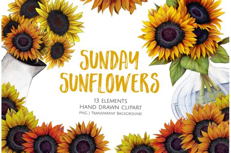 Sunday Sunflowers Clipart Set By Jessica Oxley Thehungryjpeg