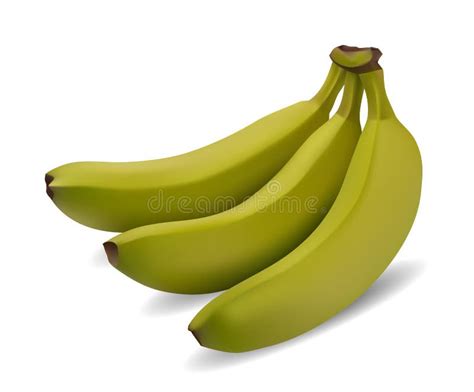 Green Banana Bundle Stock Vector Illustration Of Vitamin 32325070