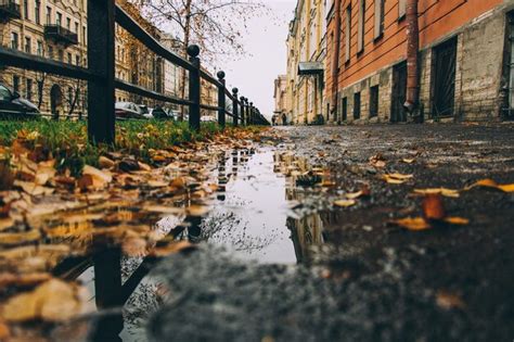 Page 134 | Rainy City Background Images - Free Download on Freepik