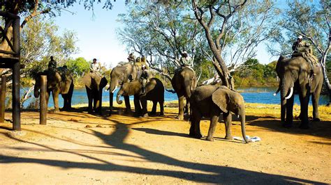 Elephant Back Safari – Travel Republic Africa