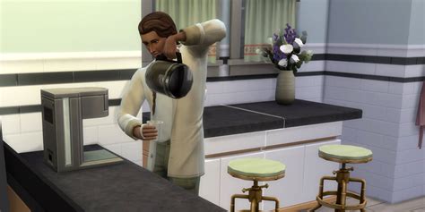 The Sims 4 Snowy Escape Lifestyles Guide