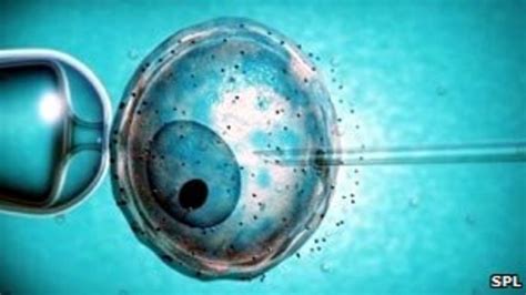 The Birth Of IVF BBC News