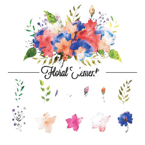 Set Of Colorful Watercolor Floral Elements Background Flower Floral