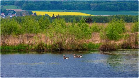 Gro Es Torfmoor Selma Barbara Flickr