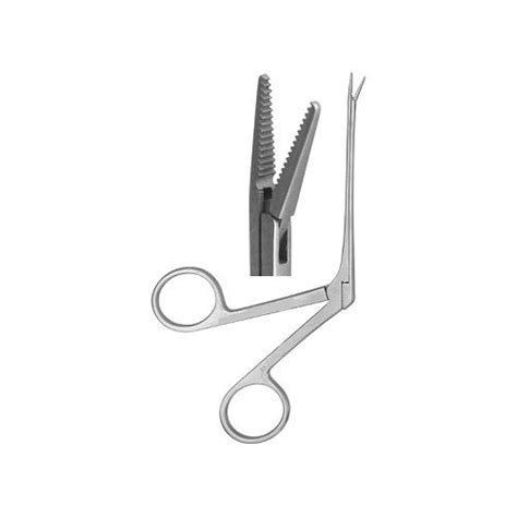 Vet Science Cde Forceps And Scissors Flashcards Quizlet