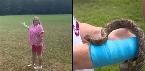 Woman Attacked By Hawk After Snake Falls From Sky Lands On Her