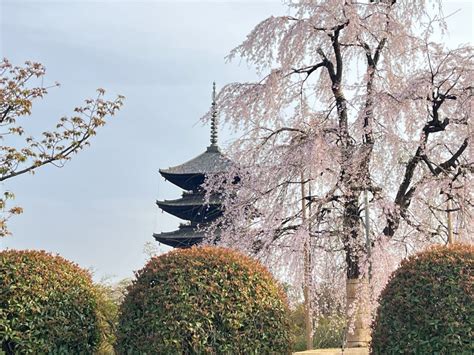 Toji Temple