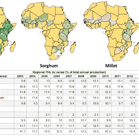 Cereal Weight Losses In Sub Saharan Africa As Maps And Tables