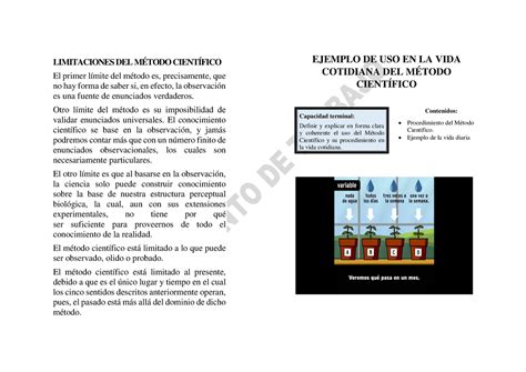 Aplicando El M Todo Cient Fico En Tu D A A D A Consejos Pr Cticos