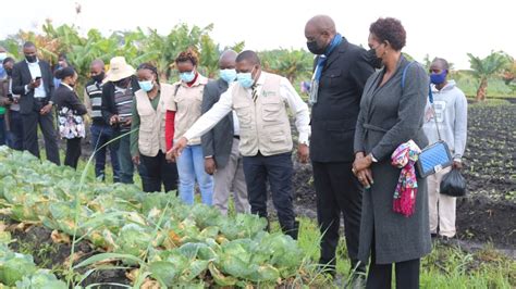 Cidade De Maputo Vai Transmitir Sua Experi Ncia Na Rea De Agricultura