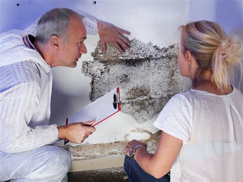 What You Should Know About Mold And Mold Remediation Insurance Claims In