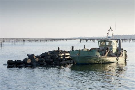 Barco Dos Peixes No Porto De Bouzigues Imagem De Stock Imagem De