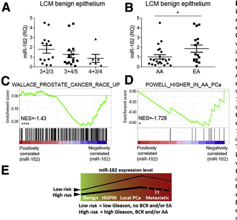 Figure 4 From Tumorigenesis And Neoplastic Progression Association Of