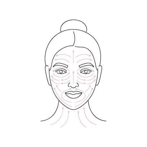 Méthode Dillustration Vectorielle Pour Le Massage Du Visage Visage