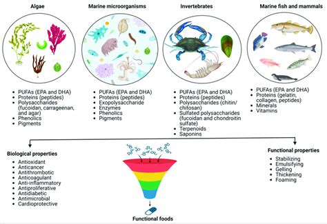 Marine Derived Bioactive Compounds And Their Major Functions