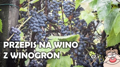 Wino Winogronowe Gronowe Cz Prosty Przepis Na Domowe Wino Z