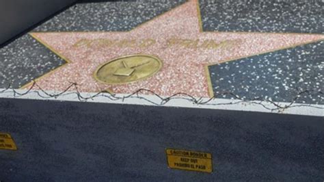 Construyeron Un Muro Alrededor De La Estrella De Donald Trump En