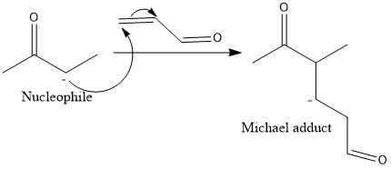 What is the Michael addition in organic chemistry? | Homework.Study.com