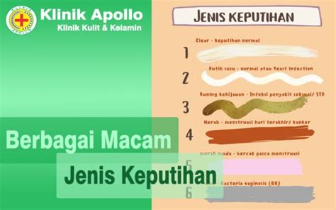 Memahami Macam Dan Jenis Keputihan Dan Penyebabnya Klinik Apollo