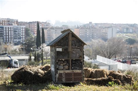 Agenda Urbana Ajuntament de Rubí